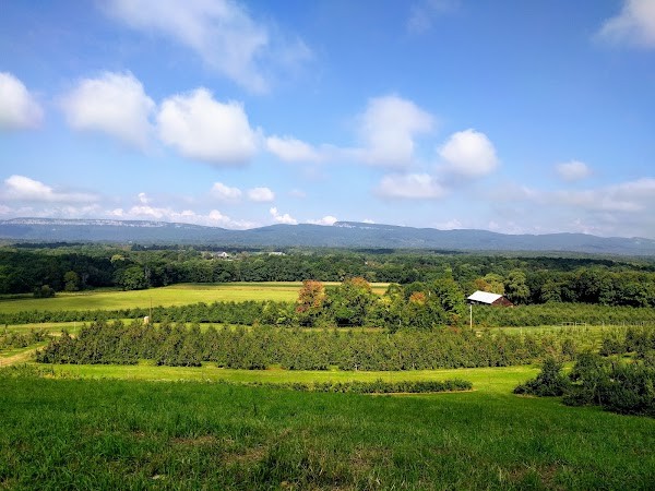 Dressel Farms