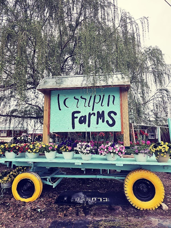 Terripin Farm Stand