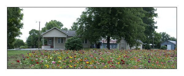 Joe's Farm