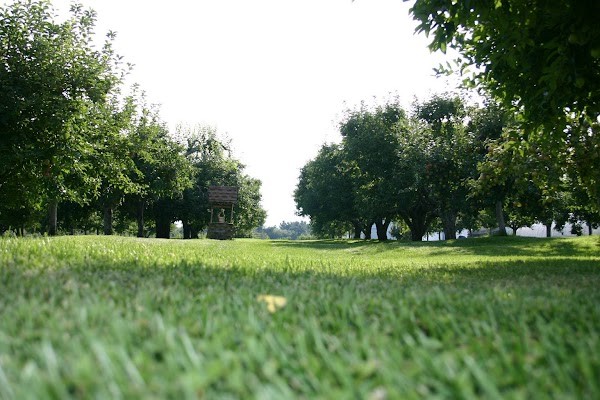 Pippin Apple Orchard & Farm