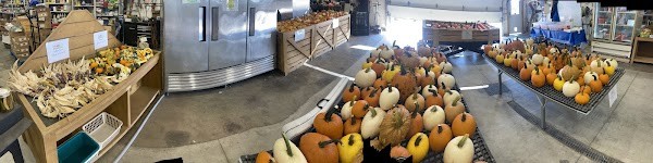 Prairie Produce and Pumpkin Patch