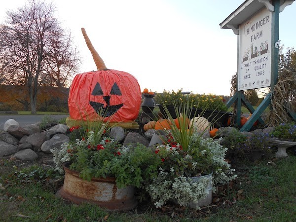 Hindinger Farm