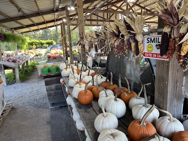 Kirkview Farm