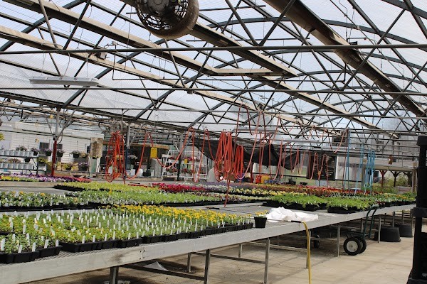 Bright Spot Farm
