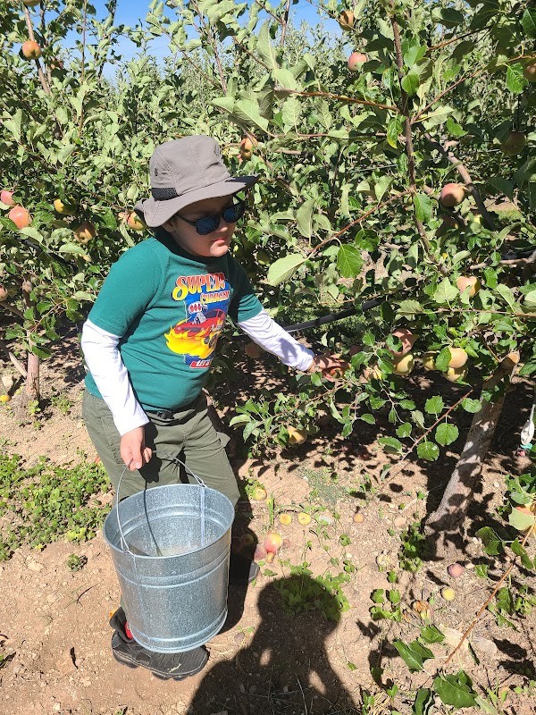 Mountain Farms Fruit Stand