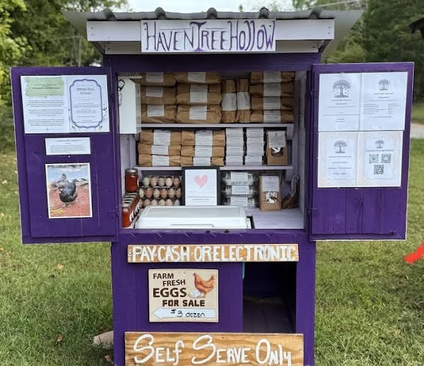 Haven Tree Hollow Farmstand
