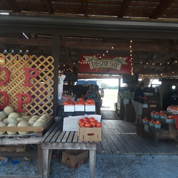 The Crop Shop