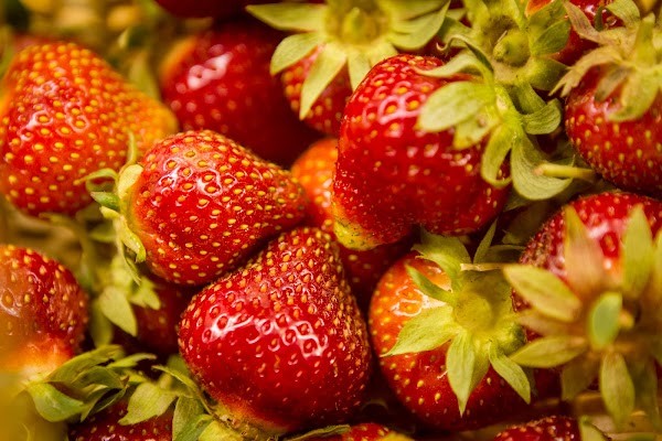 The Berry Basket Farm