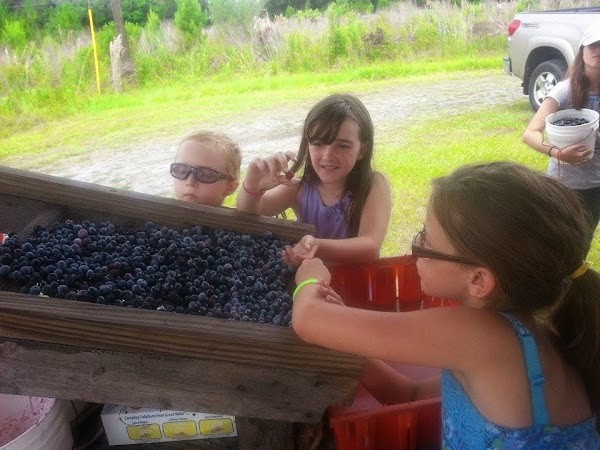 Cowart Ranch and Farms