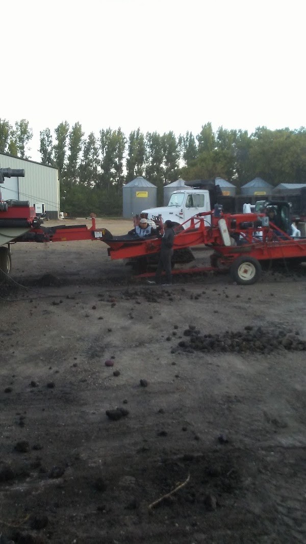 Nilson Farms
