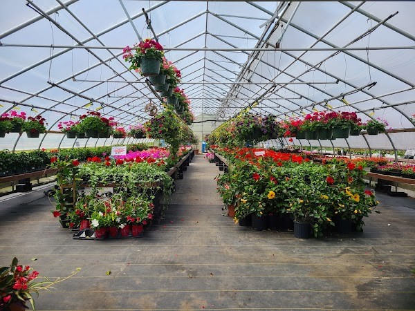 Scotts’ Farm & Greenhouses