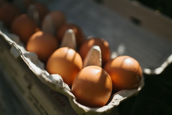 Homestead Produce