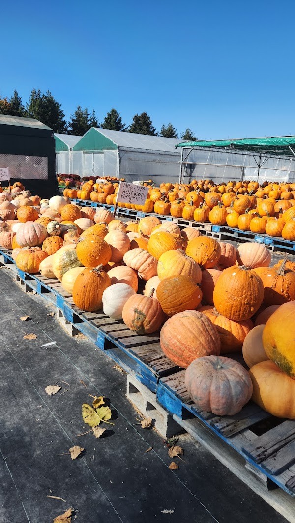 Ridgemere Farm stand