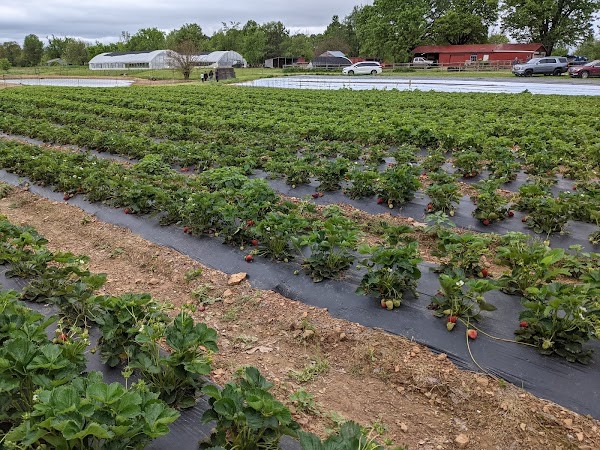 Appel Farms