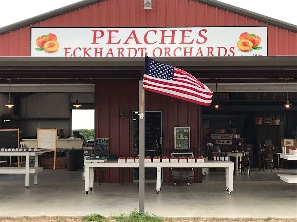 Donald Eckhardt Orchards - Fredericksburg Peach Grower
