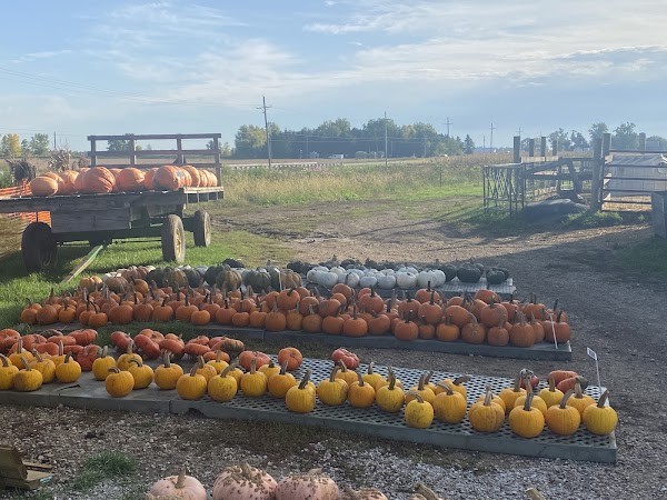 Patyk's Farm Market & Greenhouse