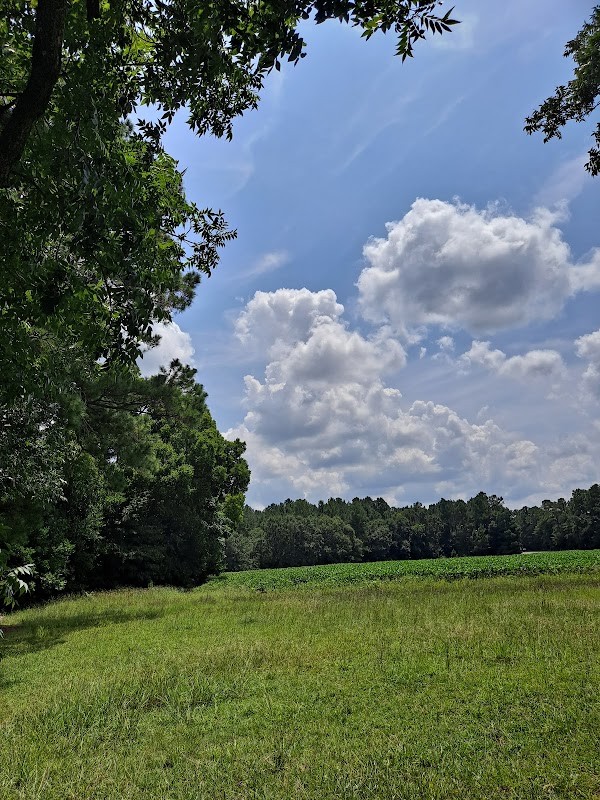Livingston Farm