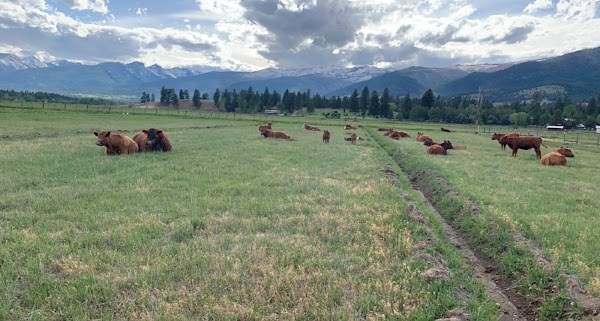 Aune Ranches Farm to Market Farmstand