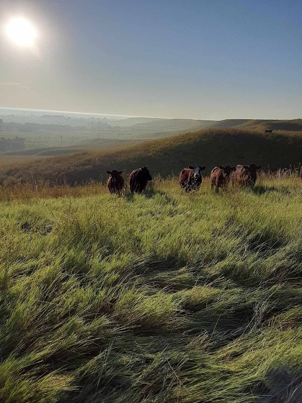 Dry Creek Farm & Ranch