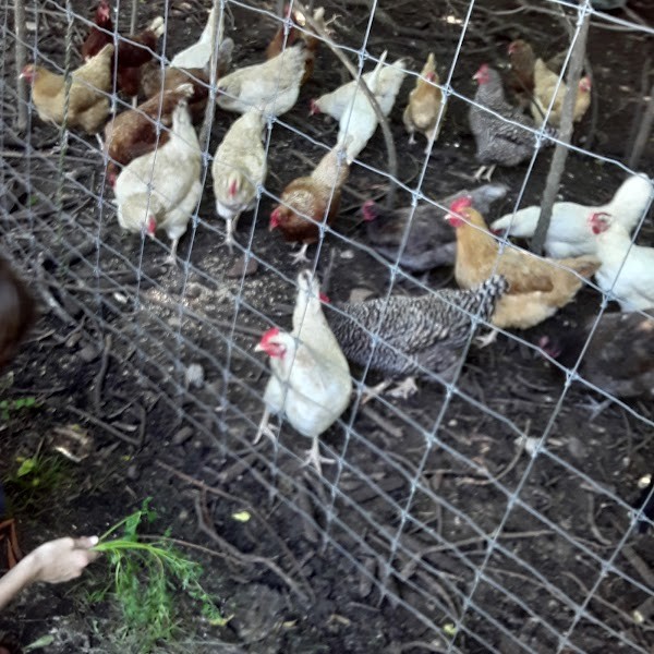 Halvorson’s Hidden Harvest