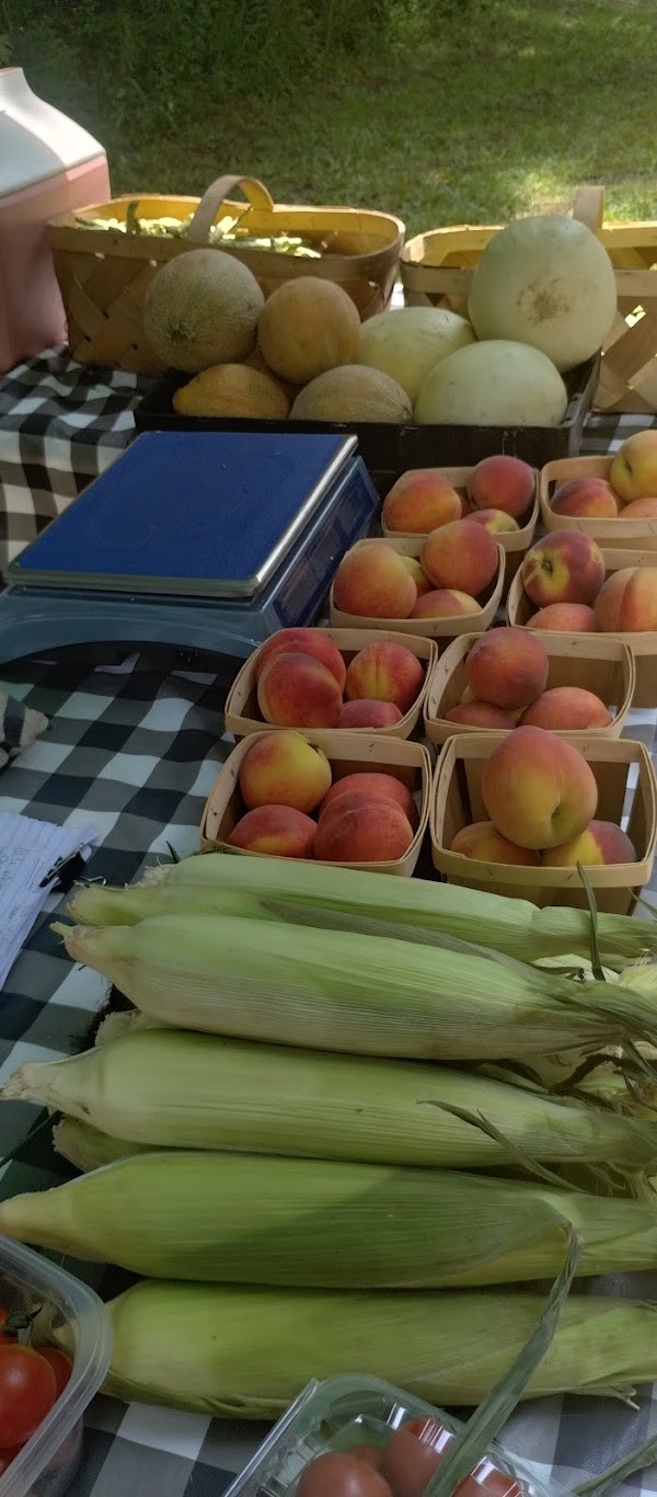 Rum Ridge Farm