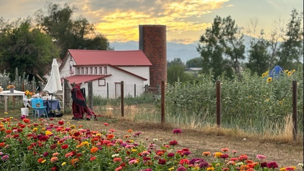 Balto Farms/ Boulder Lavender