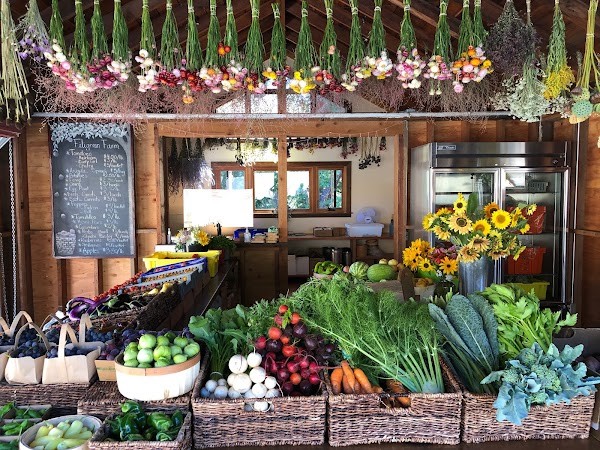 Velma's Farm Stand at Filigreen Farm