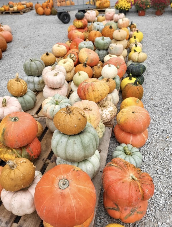Adam Family Farm Stand