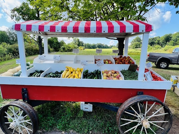 Eddy Farm
