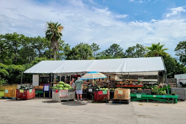 Dixie Harvest Produce