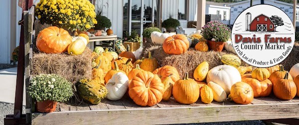 Davis Farms Country Market