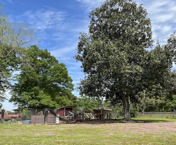 Grazing Way Farm