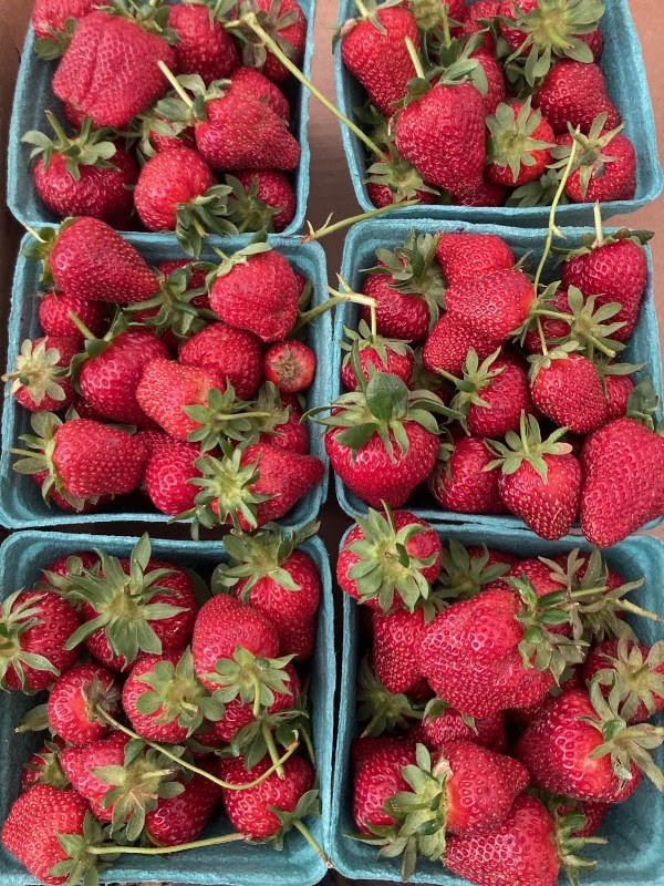 Heeks Farm