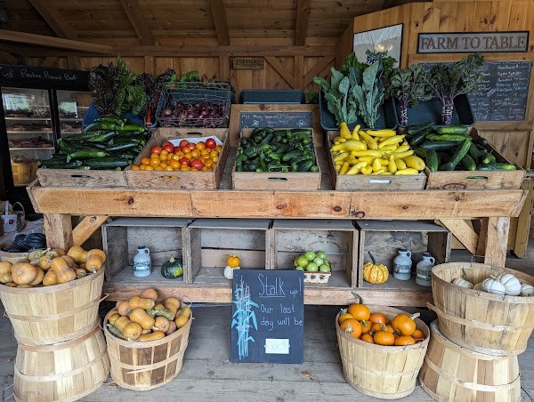 Farmer's Daughters Farm Stand