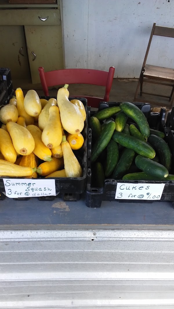 Amish Vegetable Stand