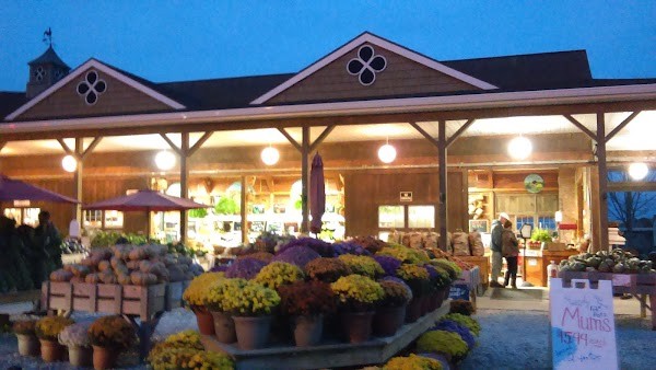 Bayview Market & Farms