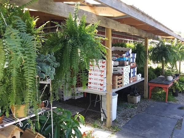 Lavern's Country Market