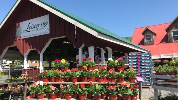 Leister's Farm Market
