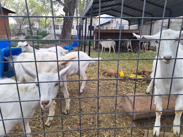 Drake Family Farms