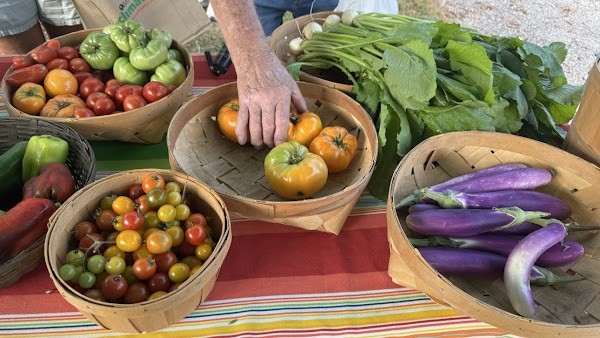 Free Farm Syndicate Free Farm Stand