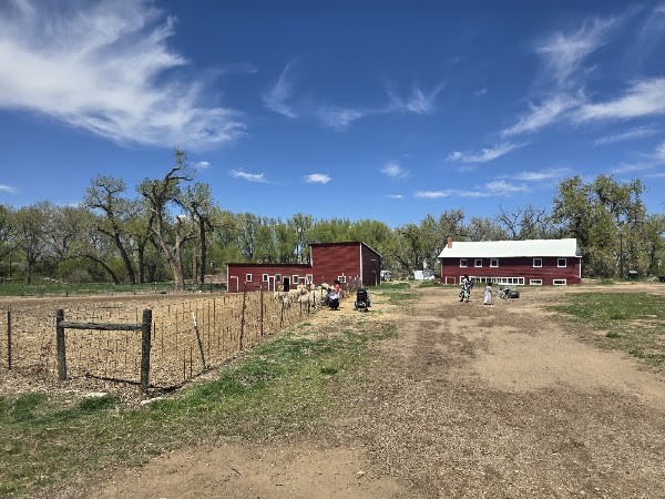 Ollin Farms