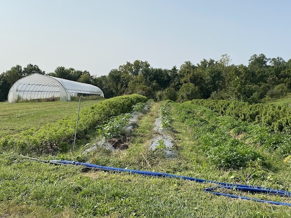 Willowsford Farm