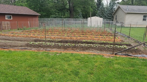 Adam's Fresh Vegetables