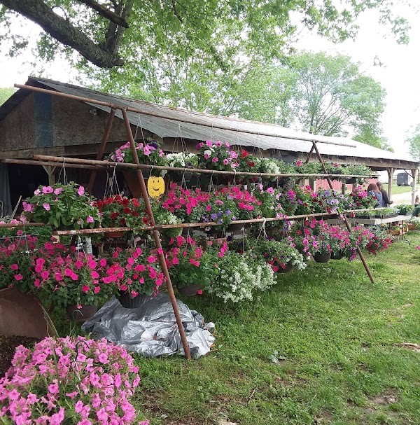 Charlie's Produce Andmore