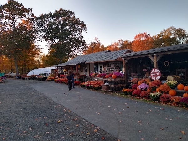 Rock Ridge Farm