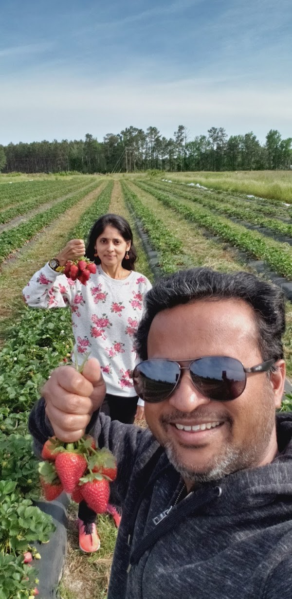 Breland Hill Farm