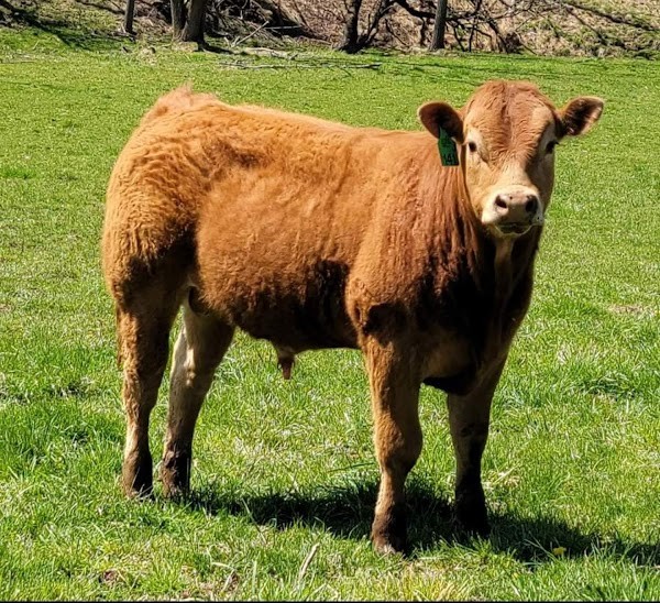 Greener Acres Farms