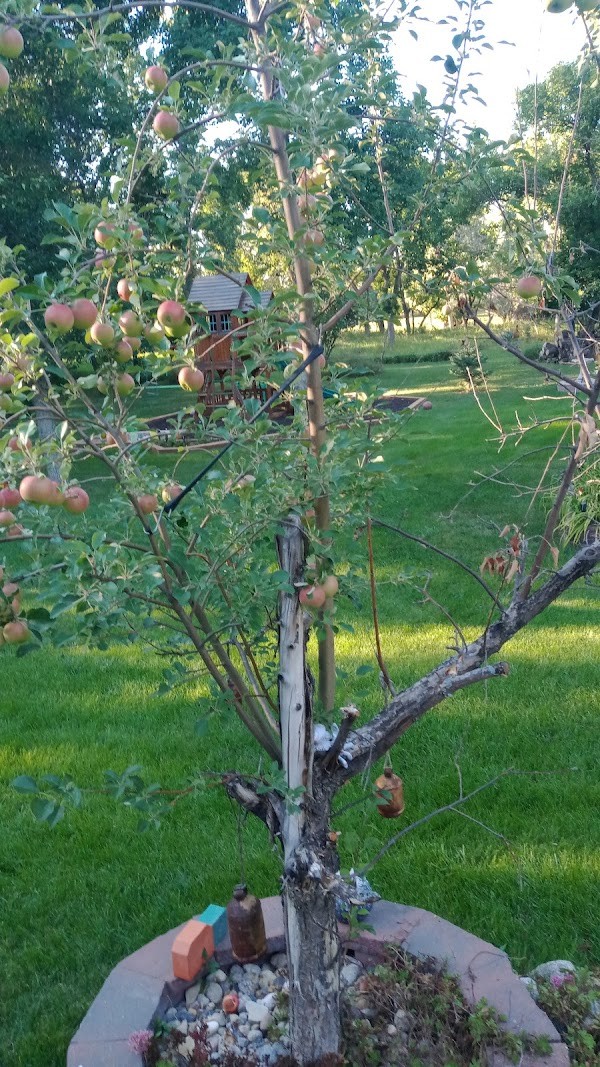 West River Produce