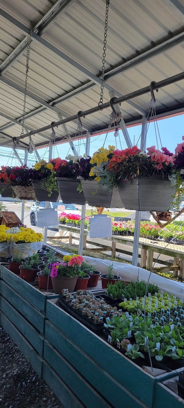 Buckwheats Farm Market