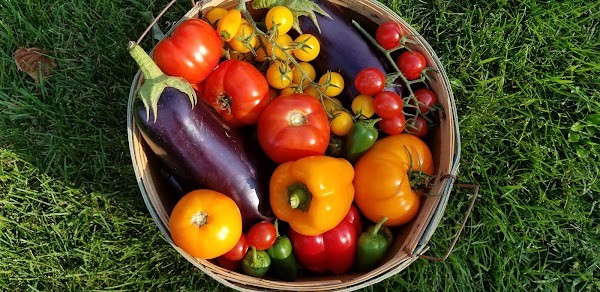 Strom Family Farm